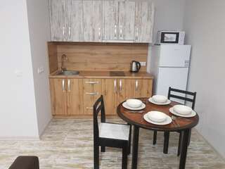 Апартаменты Silver Star Apartment 40m Ужгород Апартаменты с 1 спальней-26